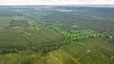 0 Shawmut Rd, Murfreesboro, AR 71958 - photo 5