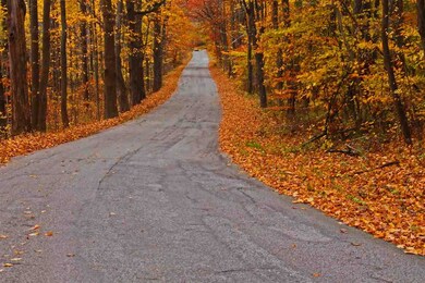 Lot 29 Cindyred Ln, Laporte, IN 46350 - photo 6