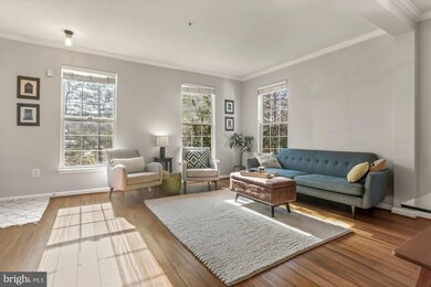 723 Massey Ln unit A, Alexandria, VA 22314 - photo 5