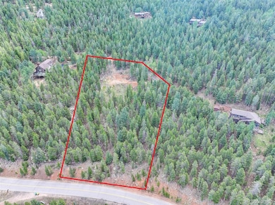 11275 Bear Run Trail, Conifer Mountain & Meadows, CO 80433 - photo 7