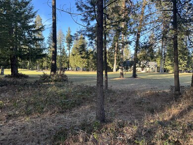 LOT 10 Hogans Way, Chewelah, WA 99109 - photo 5