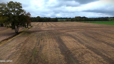 1 Cooke Rd, Alamo, TN 38001 - photo 3