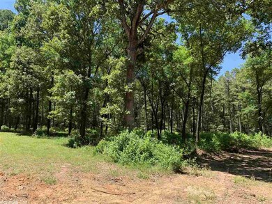 0 River Ridge unit 20017628, Heber Springs, AR 72543 - photo 3