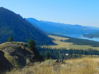 TBD Spirit Ridge Way, Rice, WA 99167 - photo 6