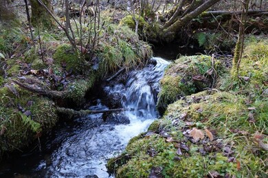 0 Roberts Lake Rd unit 25758611, Laona, WI 54541 - photo 5