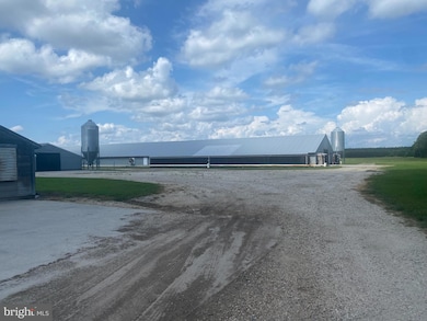 30560 Charles Barnes Rd, Westover, MD 21871 - photo 5