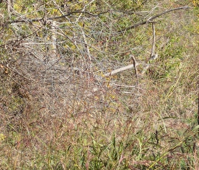 9300 Old State Rd, Aberdeen, OH 45101 - photo 4