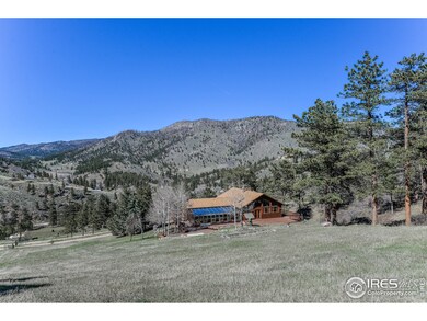 295 Deer Path St, Bellvue, CO 80512 - photo 5