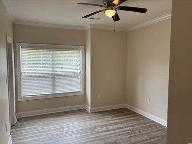Unfurnished room with ceiling fan, a healthy amoun