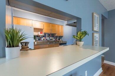 Kitchen Bar Area