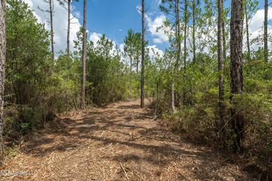 Herman_Ladner_Road_Lot_4-6