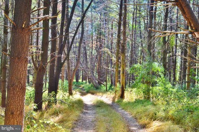 0 Battlefield Rd unit VASH117274, Strasburg, VA 22657 - photo 5