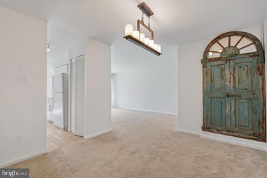 11228 Chestnut Grove Square unit 232, Reston, VA 20190 - photo 7