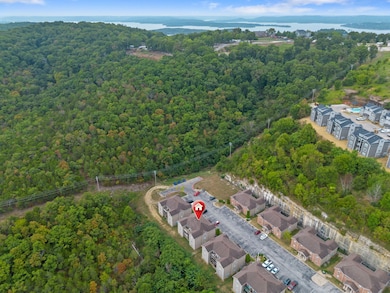 2917 Vineyards Pkwy unit 2, Branson, MO 65616 - photo 6