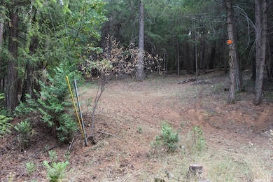 5511 Shooting Star Rd, Pollock Pines, CA 95726 - photo 3