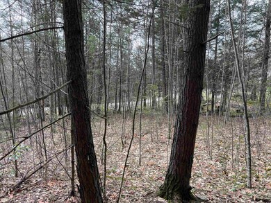 000 Grady Ln unit Lot 7, Hinsdale, NH 03451 - photo 7