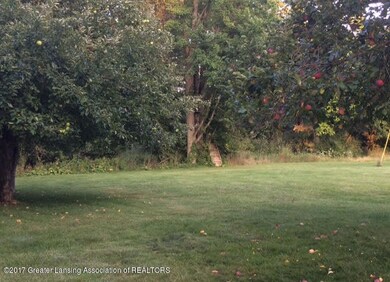 6040 beard backyard trees