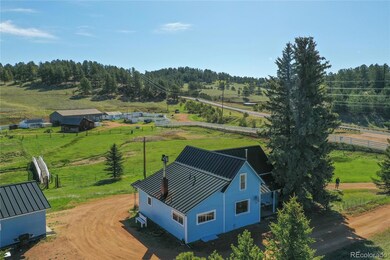3579 County Road 42, Florissant, CO 80816 - photo 3