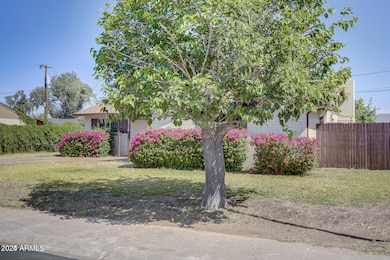 20240520230255903674000000-o