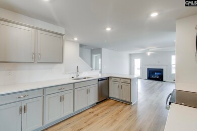 629 Clementine Run, Gilbert, SC 29054 - photo 4