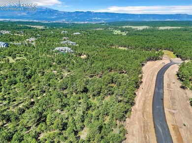 14371 Allen Ranch Rd, Black Forest, CO 80908 - photo 4