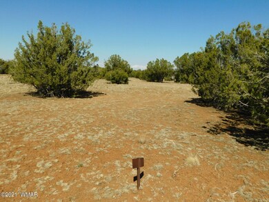 Sequoia Place Show Low, AZ, 85901