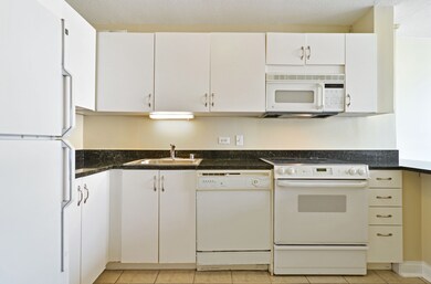 405 N Wabash Ave unit 901, Chicago, IL 60611 - photo 5