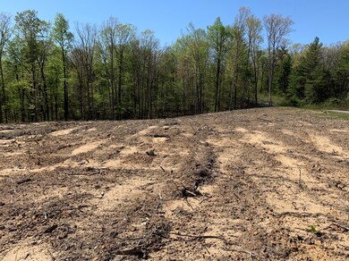 0 Frost Creek Dr, Crossville, TN 38571 - photo 5