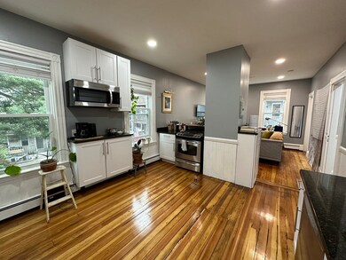 3 Balmoral Park unit 2, Boston, MA 02127 - photo 2