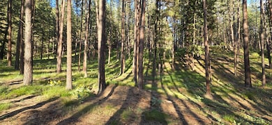 NHN Profile Rock, Alberton, MT 59820 - photo 2