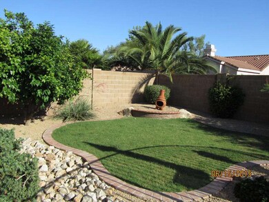 BACKYARD 6