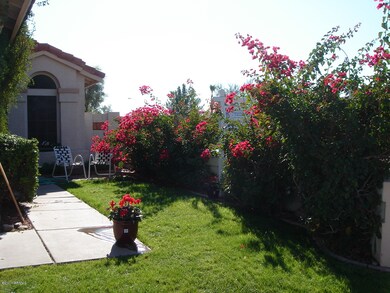 NEW FRONT LANDSCAPING