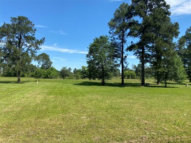 32006 Birdie Ln, Waller, TX 77484 - photo 2