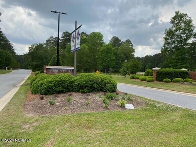 100 Thames Ln, Chocowinity, NC 27817 - photo 7