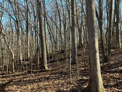 0 S 15th St, Niles, MI 49120 - photo 5