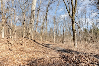 1009 Scramblers Knob, Franklin, TN 37069 - photo 4