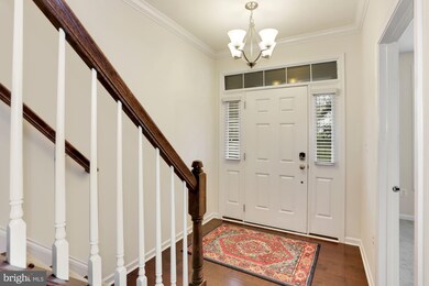 23289 Carters Meadow Terrace, Ashburn, VA 20148 - photo 3