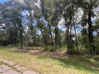 1628 E Derby Dr, Dunnellon, FL 34434 - photo 2