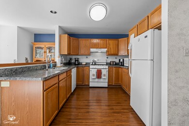 4220 Whitetail Ct, Joliet, IL 60431 - photo 4