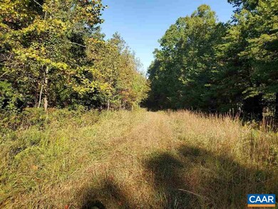 0 Black Walnut Run Rd unit 609417, Rhoadesville, VA 22542 - photo 6