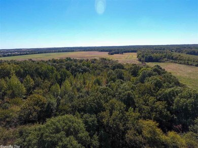 0 Purnell, Bono, AR 72416 - photo 3