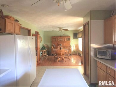 231 W Washington St, Virginia, IL 62691 - photo 5