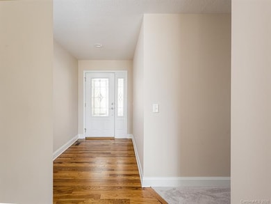 134 Chestnut Ln, Hendersonville, NC 28792 - photo 7