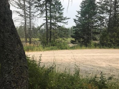 450 Cougar Trail, Whitefish, MT 59937 - photo 3