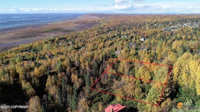 L9 & L10 Feodosia Dr, Anchorage, AK 99516 - photo 7