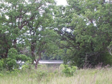 View of  lake through trees