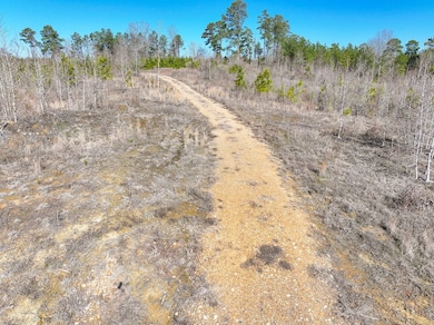 0 Hempstead 16 Rd, Hope, AR 71801 - photo 5