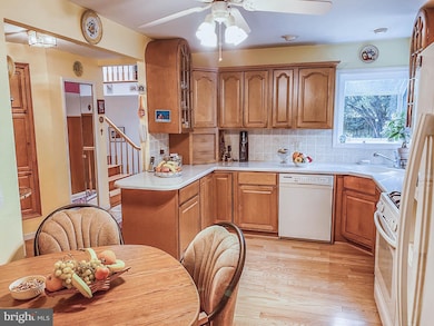 354 Franklin Ave, Princeton, NJ 08540 - photo 5