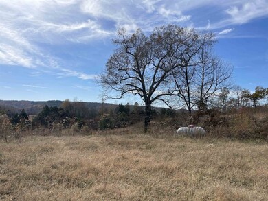 2780 Hardin Creek Rd, Clifton, TN 38425 - photo 5