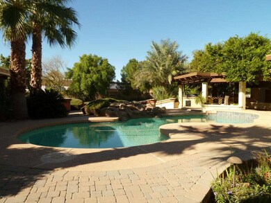 Gorgeous Backyard